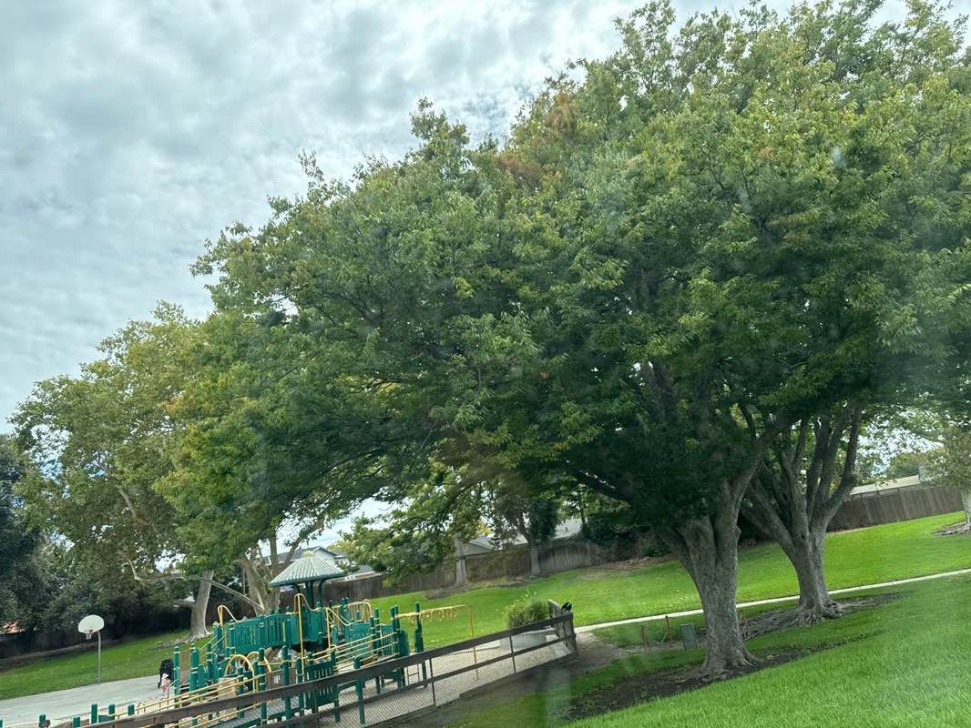 walking near me in Everett Alvarez, Jr. Park in summer