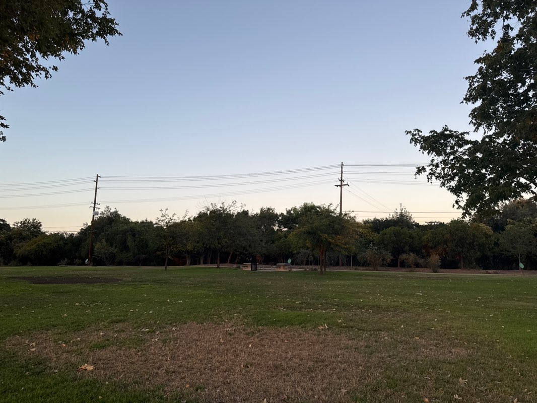 walking near me in Bowers Park in summer