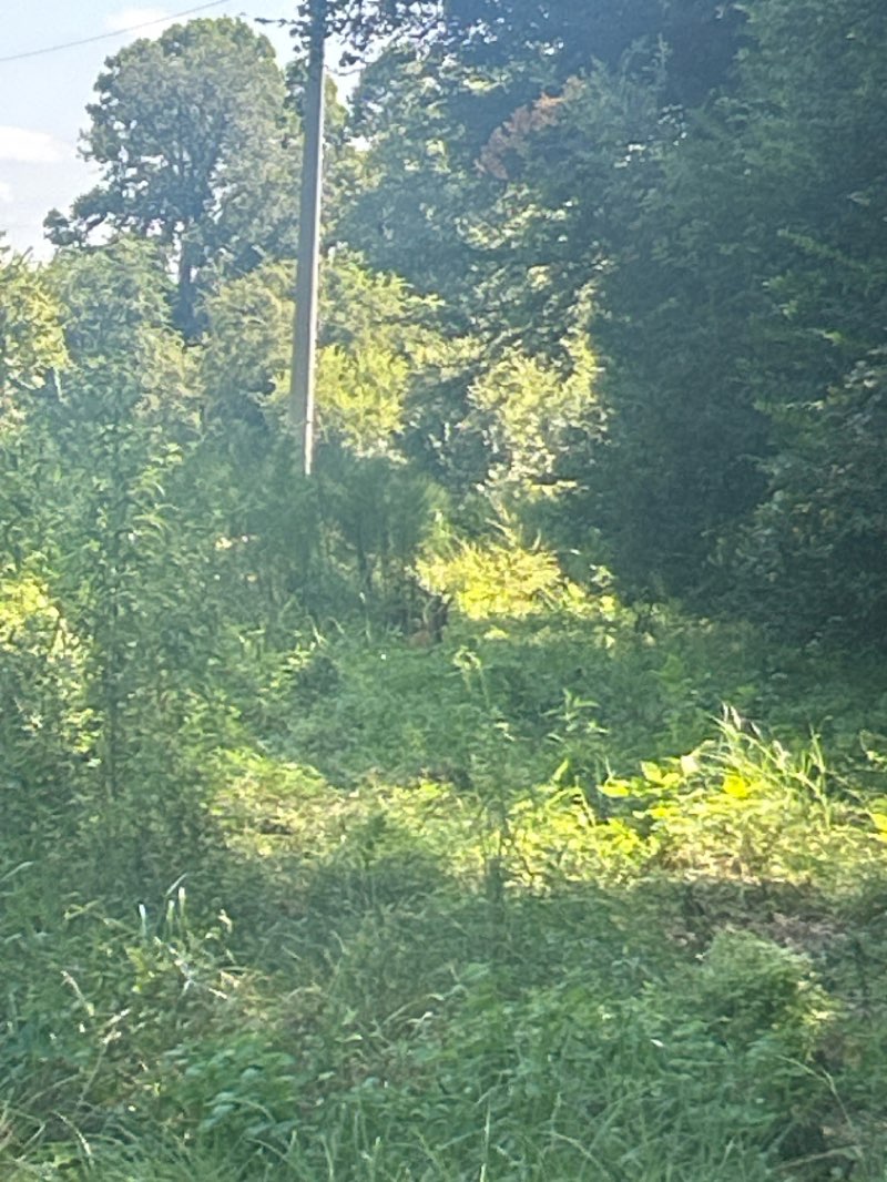 walking near me in Riverfront Park in autumn