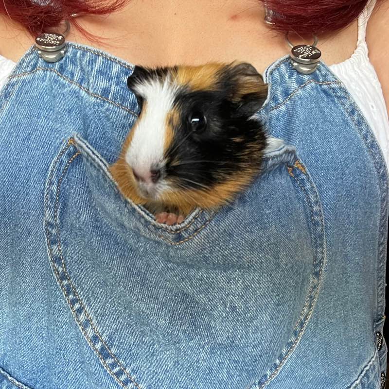 Jenni
