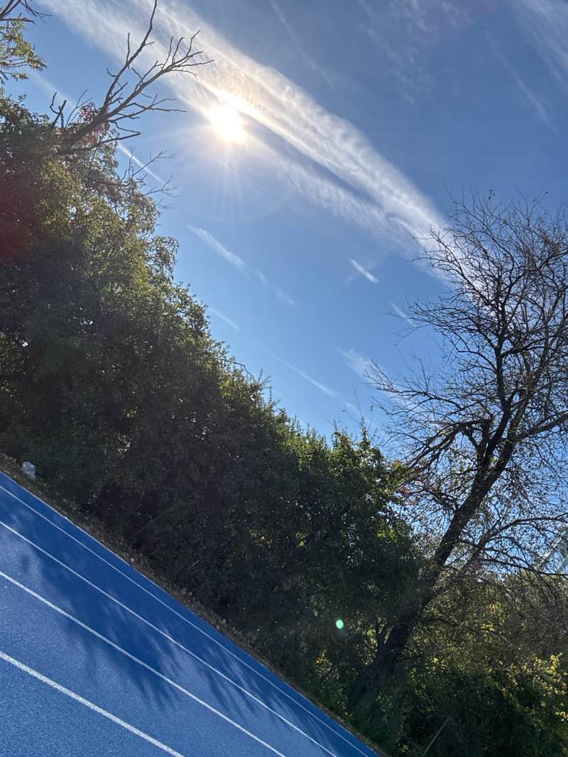 walking near me in Michael J. Tully Park in autumn