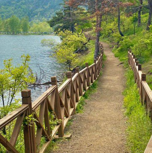 ابولانا profile