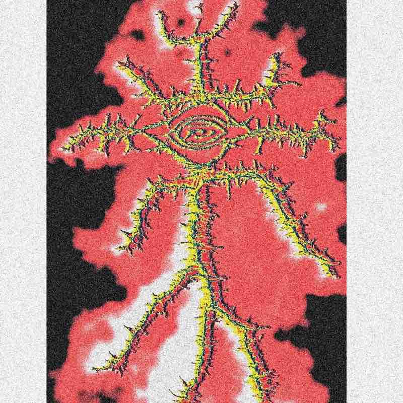 🐁❤️NGUYỄN MẠNH CƯỜNG🐁❤️ post 3