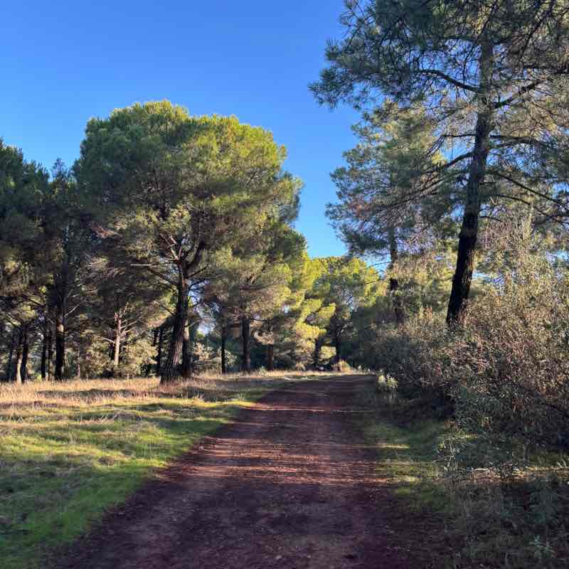 Los incansables jorge post image