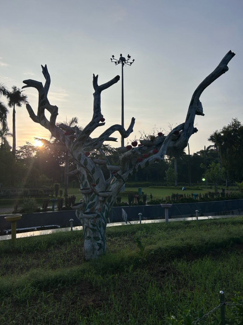 walking near me in Bhawartaal Park in autumn