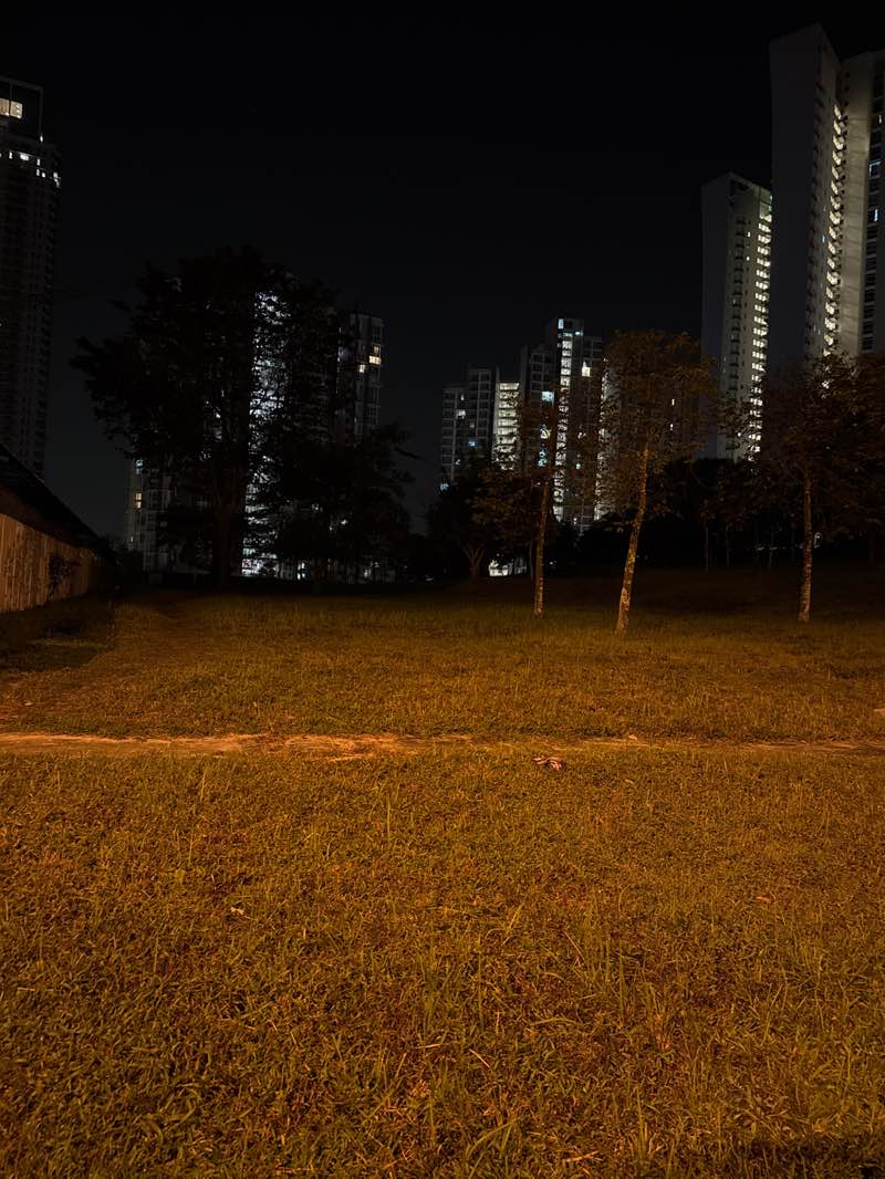 walking near me in Paradiso Nuova Park in autumn