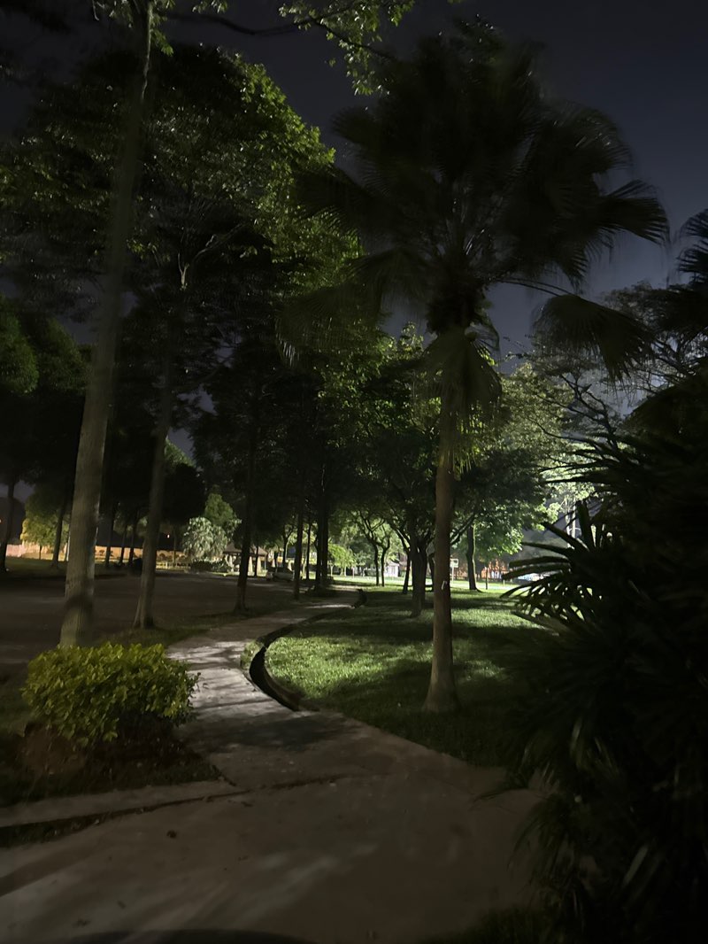 walking near me in Bukit Indah Recreational Park in autumn