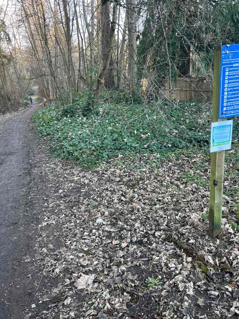 walking near me in Paramount Open Space in winter