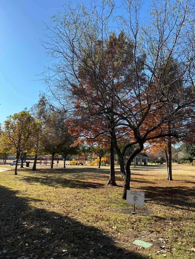walking near me in Westwood Park in winter
