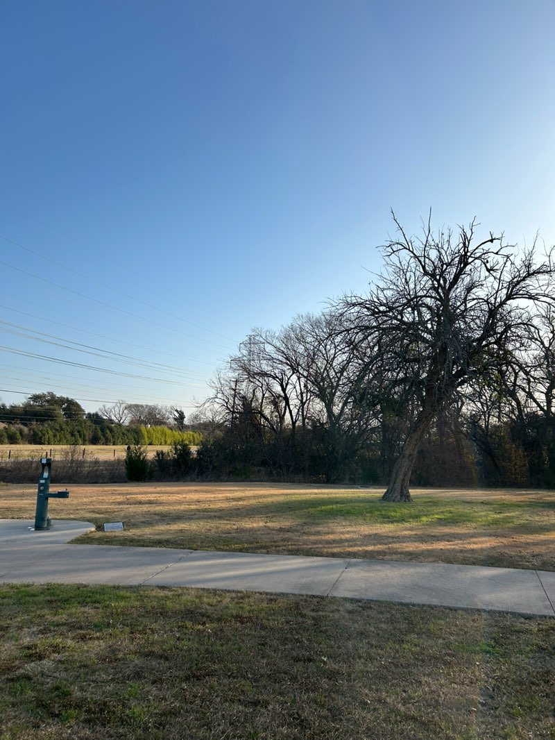 walking near me in Jack Carter Park in winter