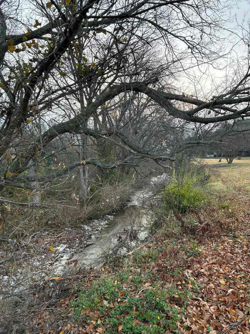 walking near me in Chisholm Trail in winter