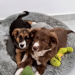 Martin Martinez profile