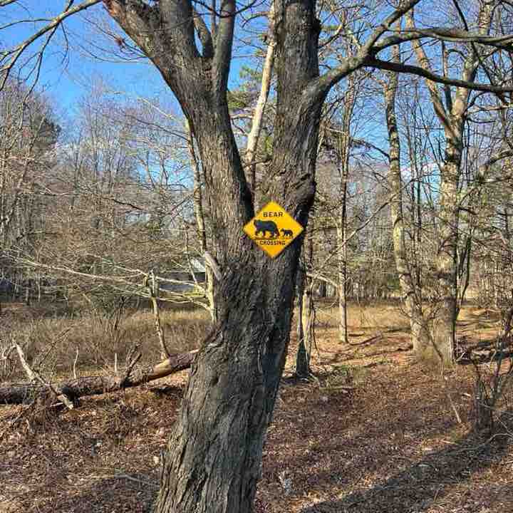 Walk with Me Complete Wellnes donnalynne88 post image