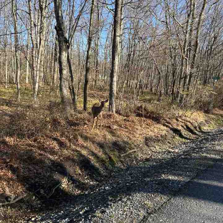 Walk with Me Complete Wellnes donnalynne88 post image