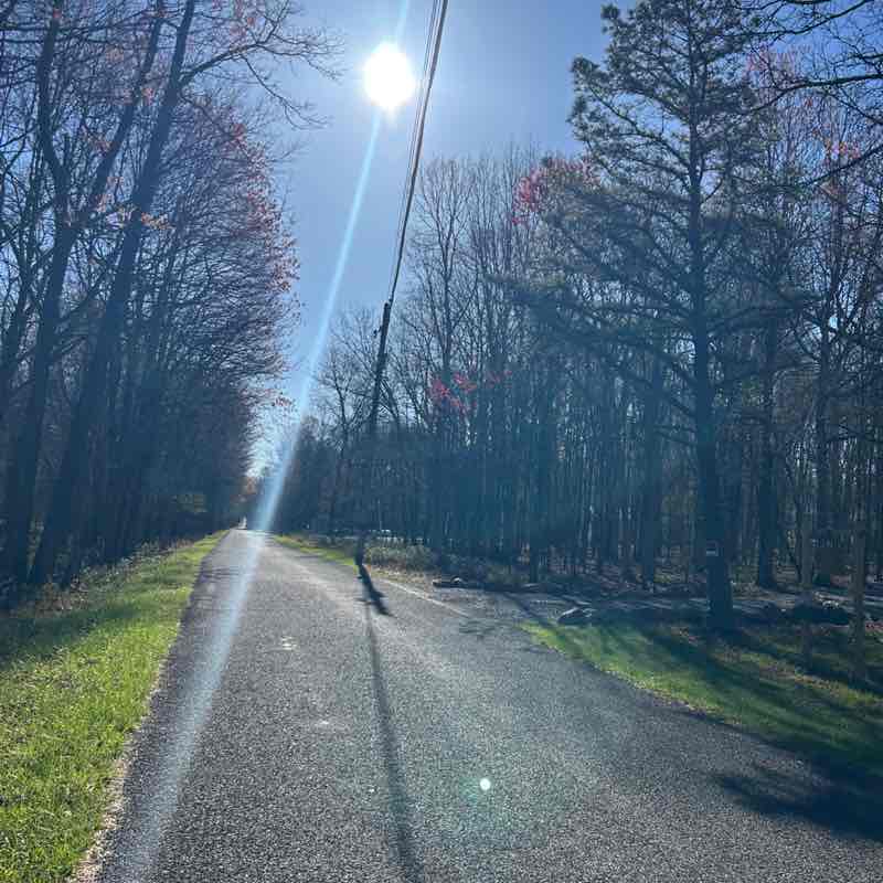 Walk with Me Complete Wellnes donnalynne88 post image