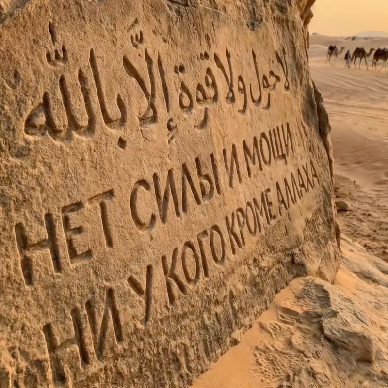 Миссичка profile