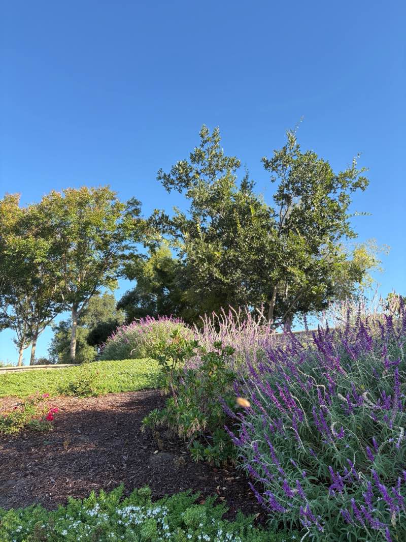 walking near me in Ted Fairfield Park in autumn