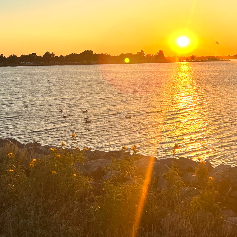 Iva Roneisha profile