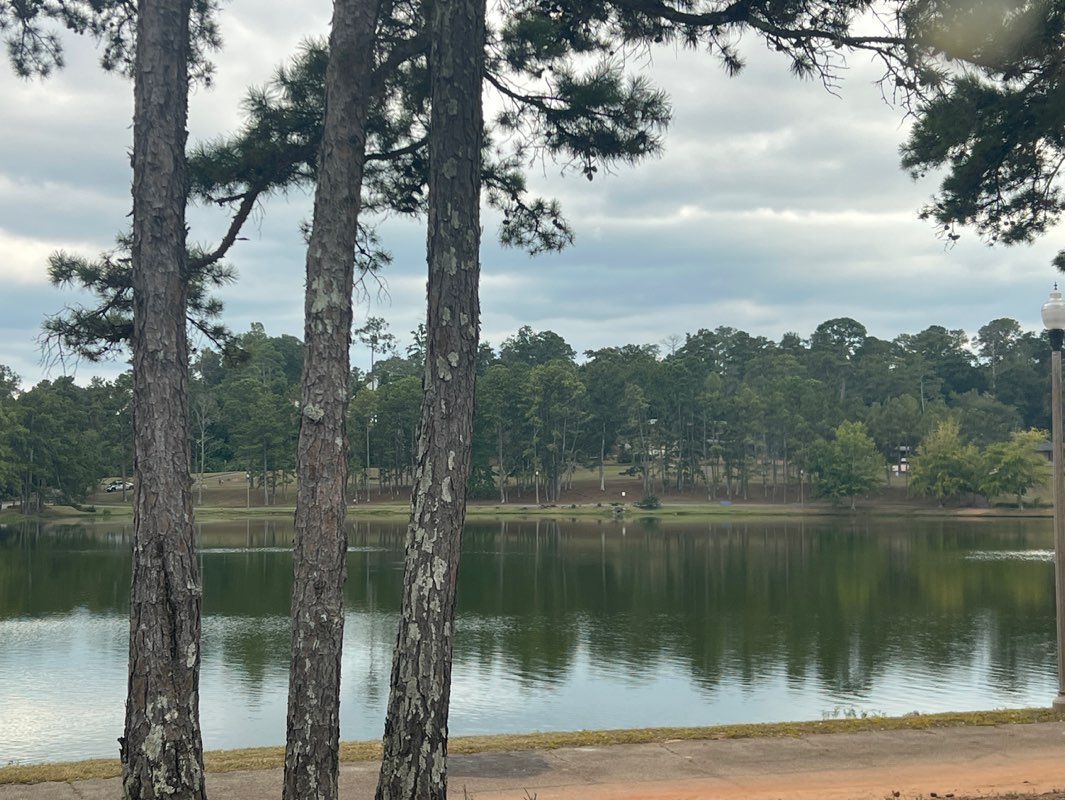 walking near me in Idle Hour Park in autumn