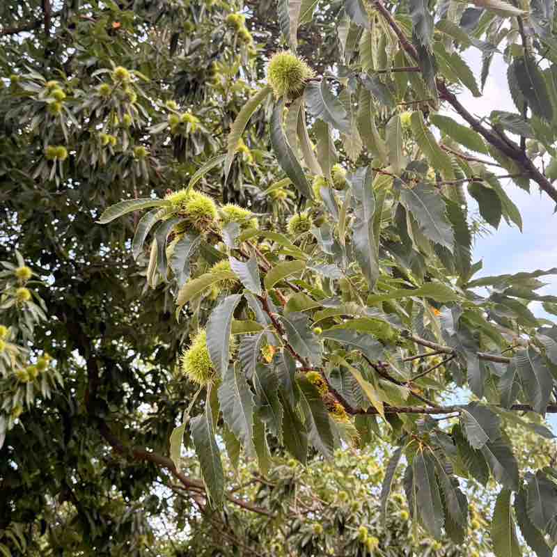 새로운 시도 no. 1 North Melbourne post image