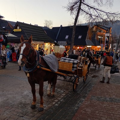 June Distance Challenge Michal Babjak ๐ธ๐ฐ๐ฌ๐ท๐บ๐ฆ post image