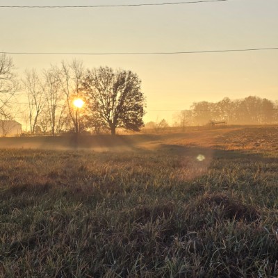 ADM Procurement Andre Alves post image