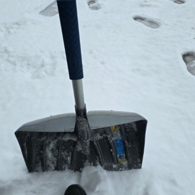 ADM Procurement Andre Alves post image