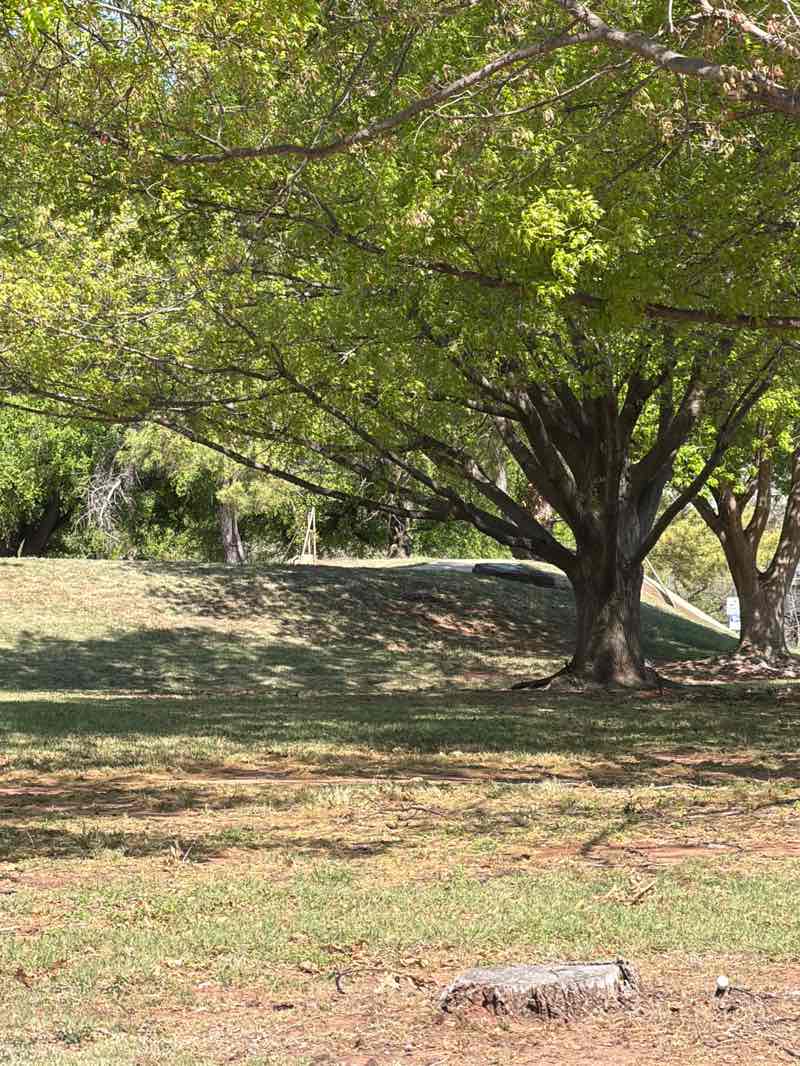 walking near me in O'Reilly Park in spring