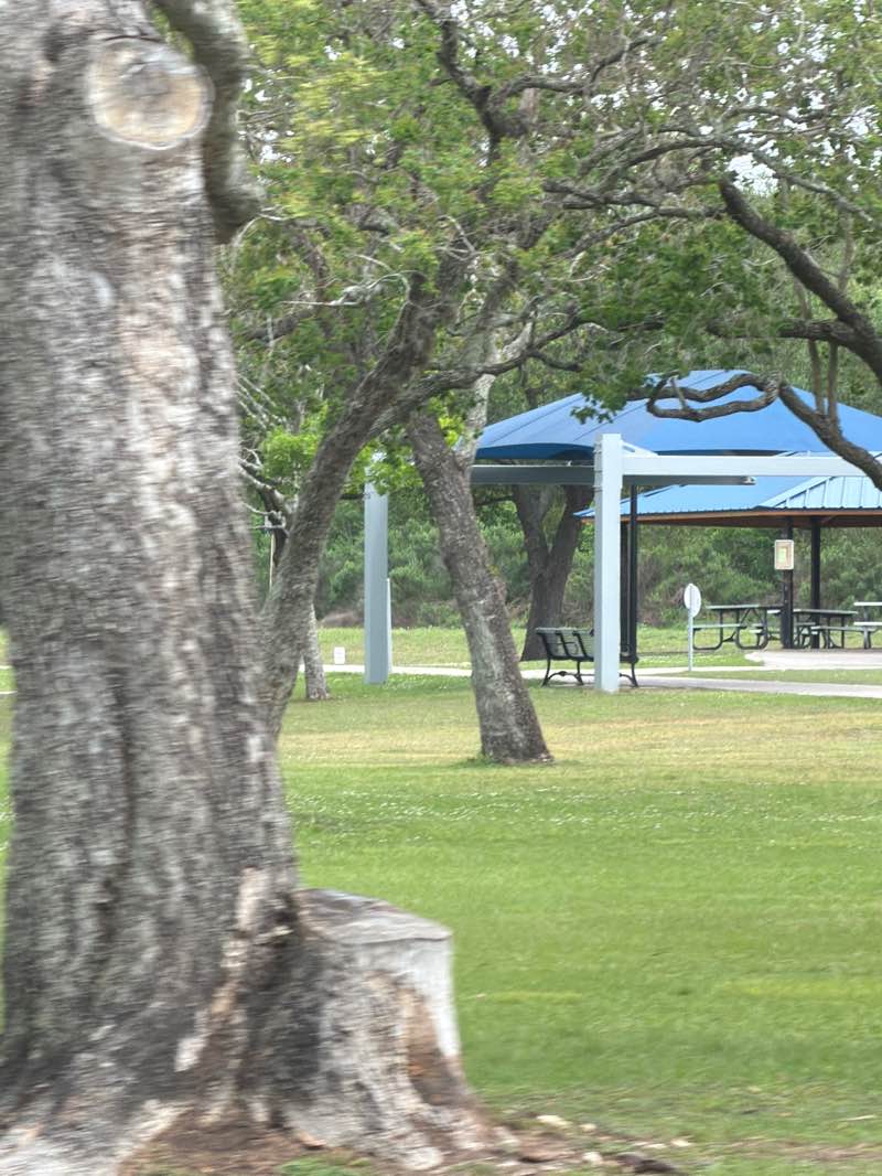 walking near me in Centennial Park in spring