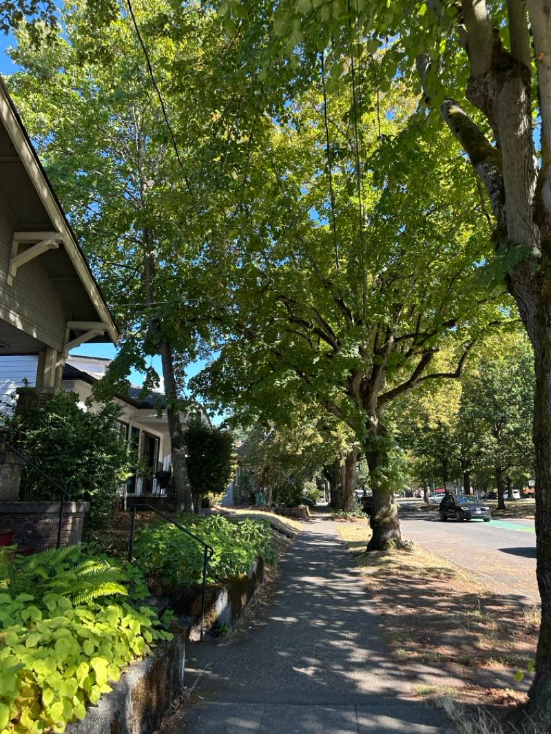 walking near me in Warren G. Magnuson Park in autumn