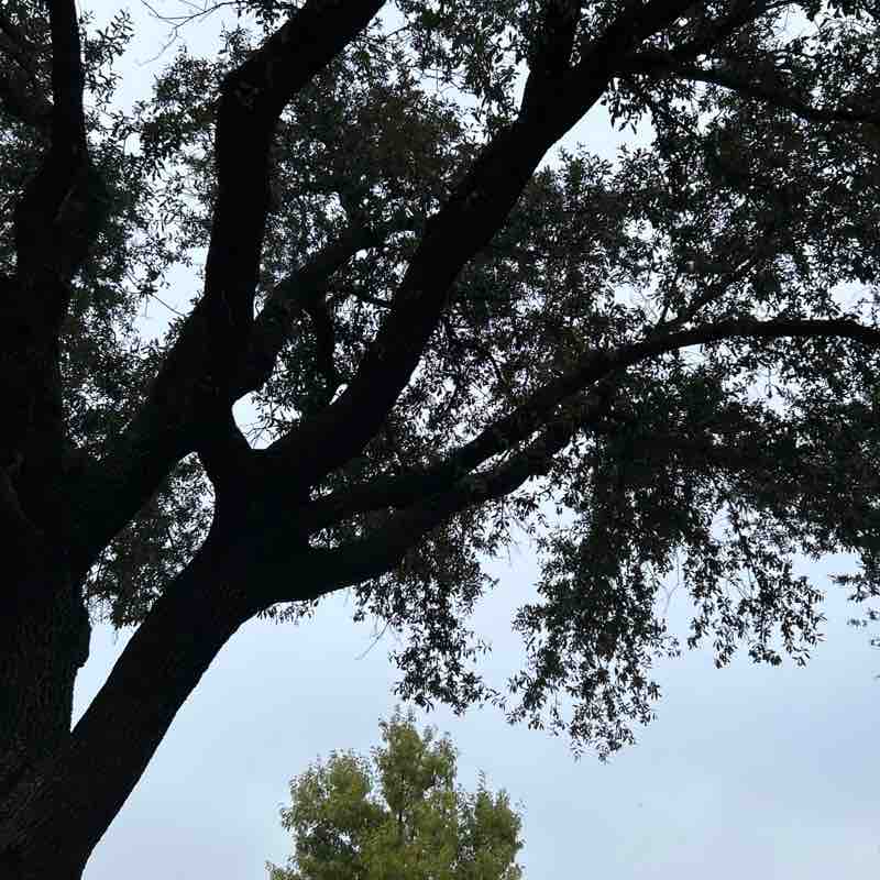 キング 🪜 Mr.Day1’s post 1