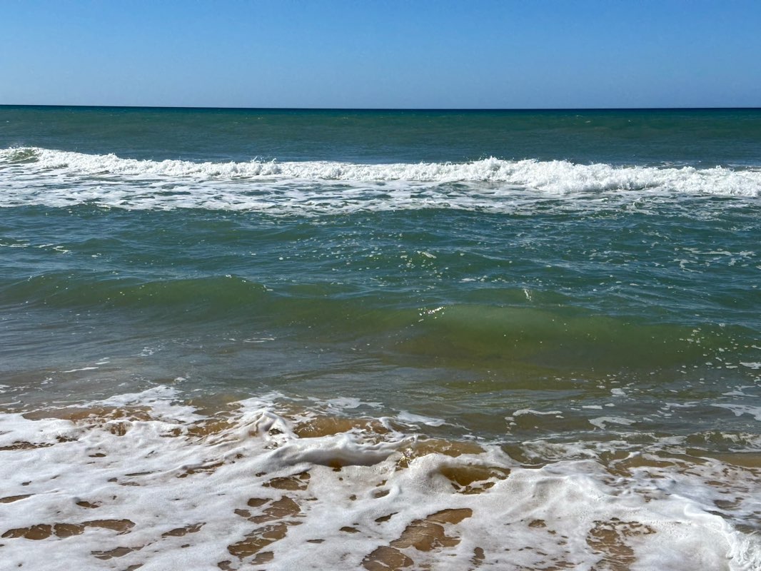 walking near me in Gippsland Lakes Coastal Park in spring