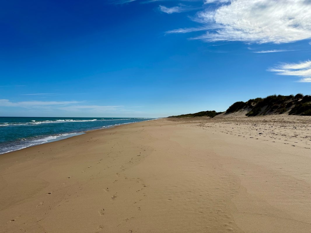 walking near me in Gippsland Lakes Coastal Park in summer