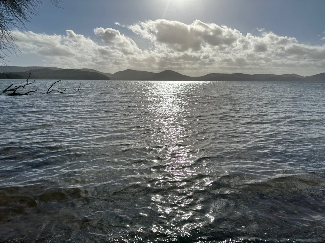 walking near me in Booti Booti National Park in spring