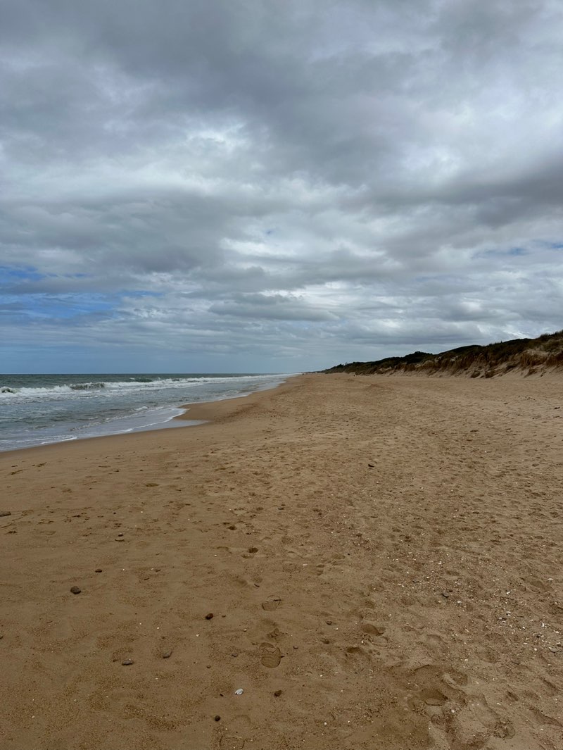 walking near me in McLoughlins Beach - Seaspray Coastal Reserve in spring