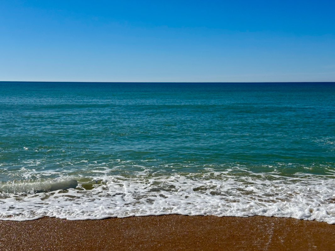 walking near me in McLoughlins Beach - Seaspray Coastal Reserve in summer