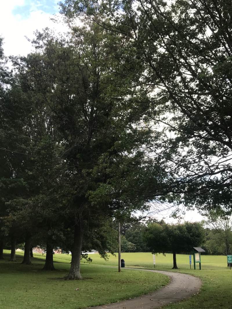walking near me in Tusculum City Park in autumn