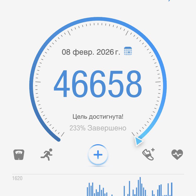 Pacer_Краснодар 🚶✅❤️ Максим🇷🇺🐯 post image