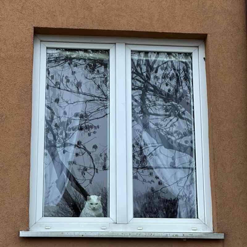 гуляем шагаем Ira post image