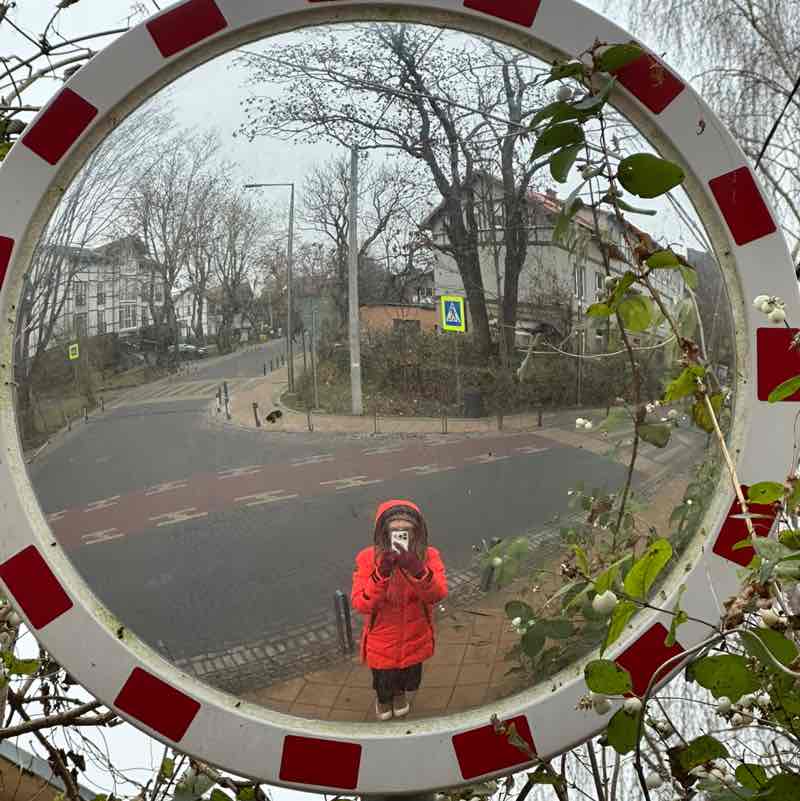 гуляем шагаем Ira post image