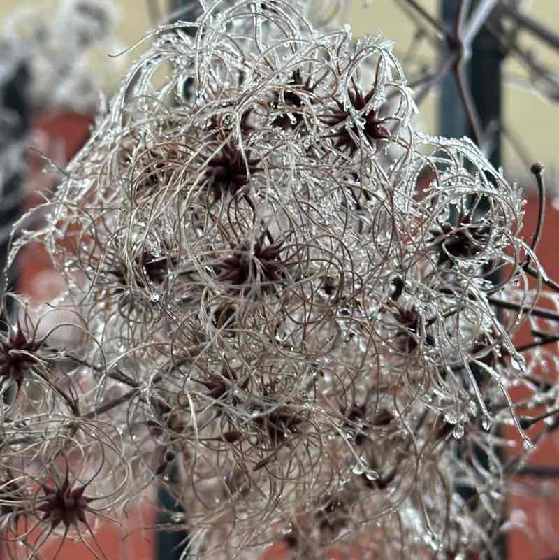 гуляем шагаем Ira post image