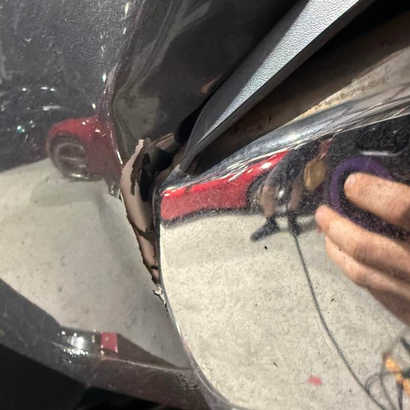 You & Team Alicia post image