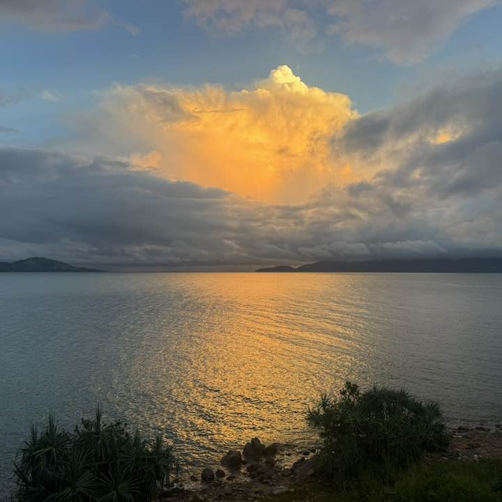 You & Team Alicia post image