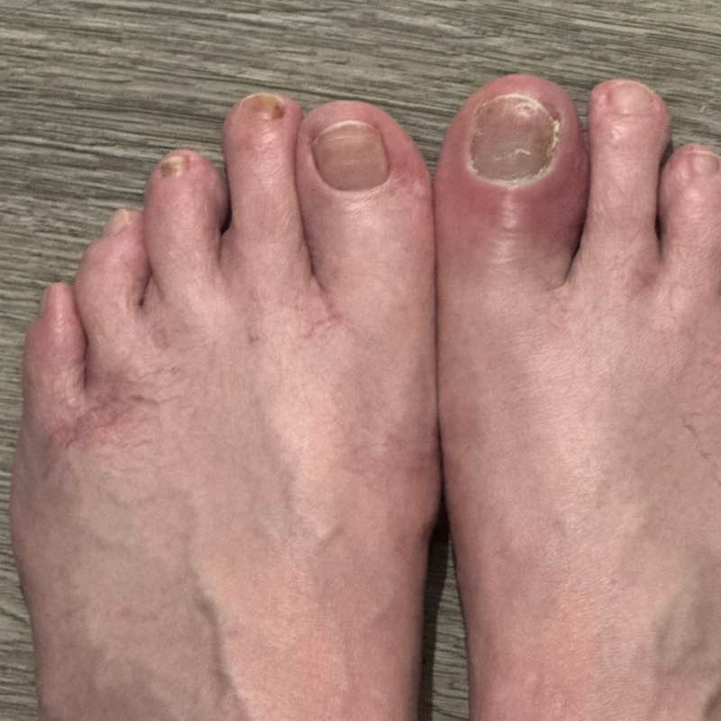 You & Team Alicia post image