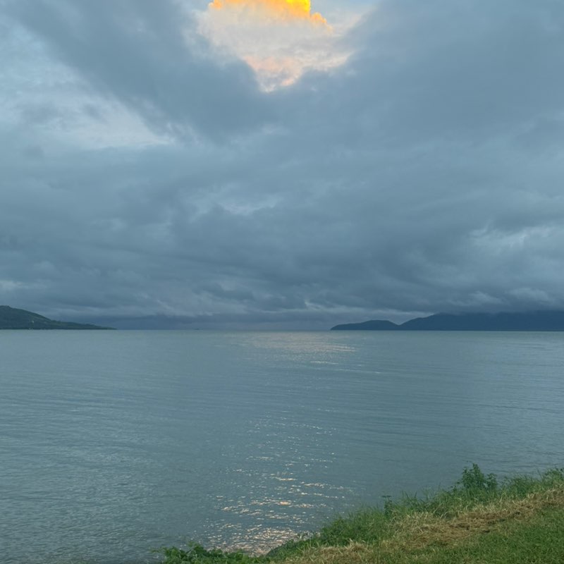 You & Team Alicia post image