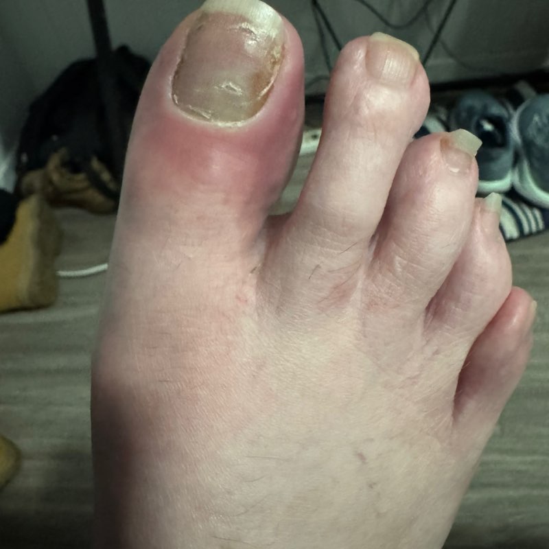 You & Team Alicia post image