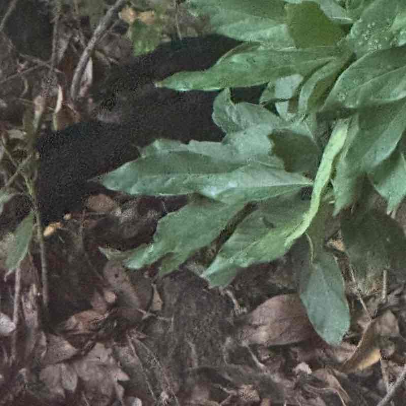 You & Team Alicia post image