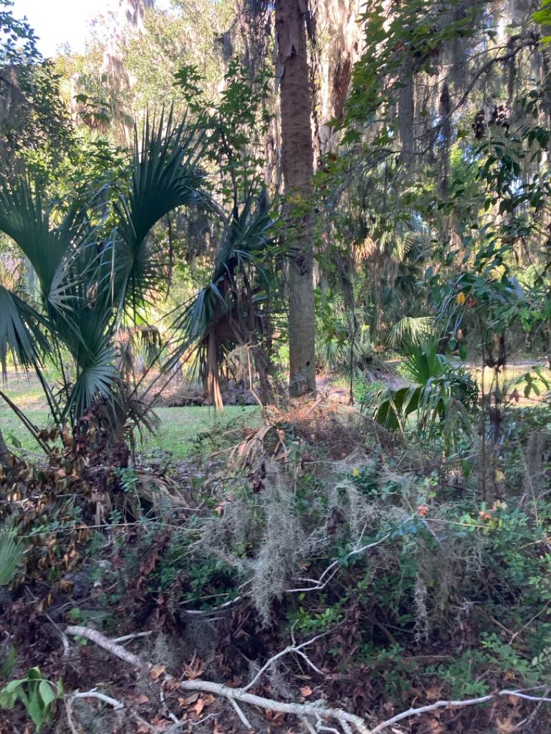 walking near me in Buschman Park in autumn