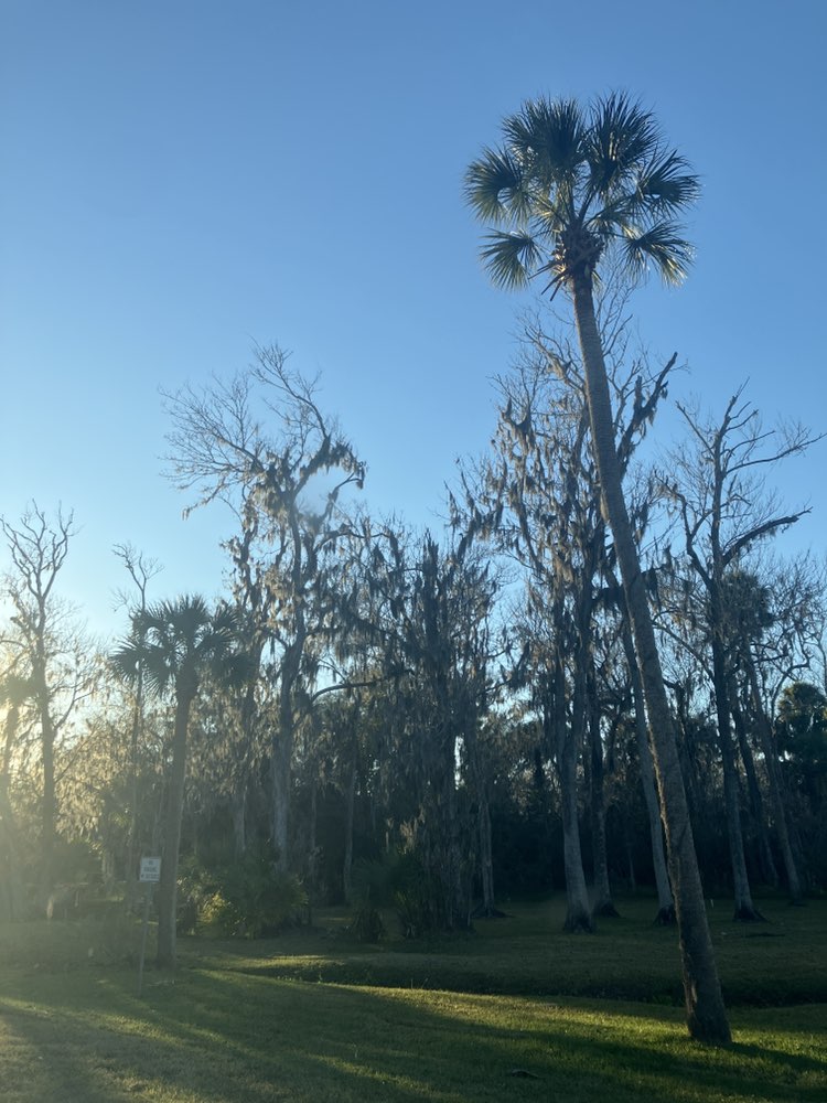 walking near me in Tuscawilla Park in winter