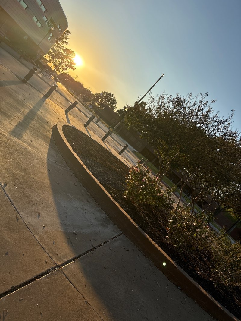 walking near me in Holland and Gaines Memorial Student Park in autumn
